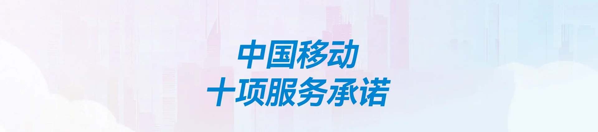 大名县移动宽带